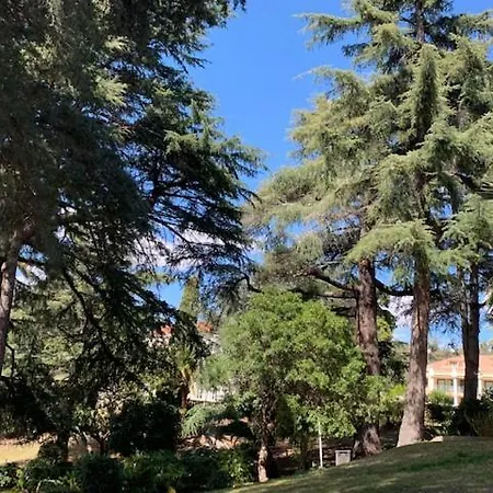 Appartement 4 Pers Vue Wi Fi Climatisation Piscine Cannes